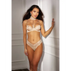 Absolutely Beautiful Stretch Lace Collard Bra & Panty (Goes w/SOH31549) Nude 36 - Lingerie - Hanging