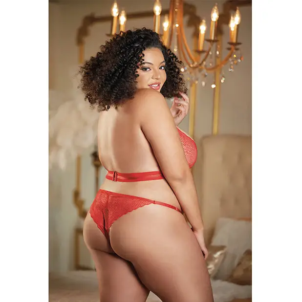 Allure Halter Ouverte Lace Teddy Black QN - Lingerie - Plus/Queen - Packaged