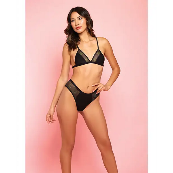 Amnesia Haze Bra & Panty Black XL - Lingerie - Hanging