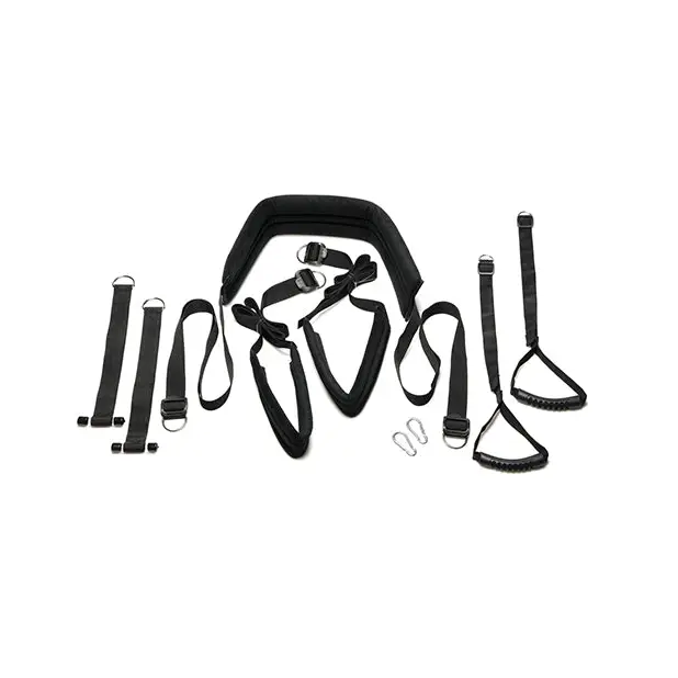 Bedroom Bliss Lovers Door Swing - Position Aids & Swings