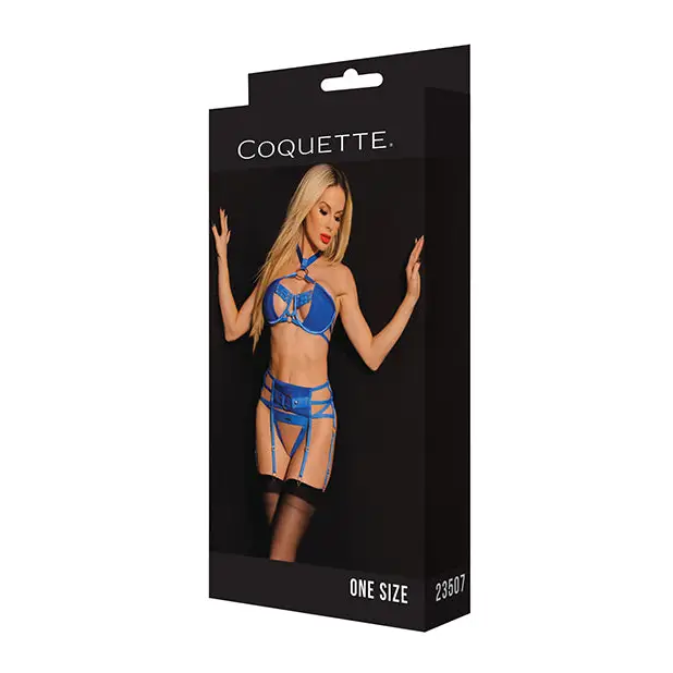 Black Label Underwire Bra w/Choker Garterbelt & G-String Blue O/S - Lingerie - Packaged