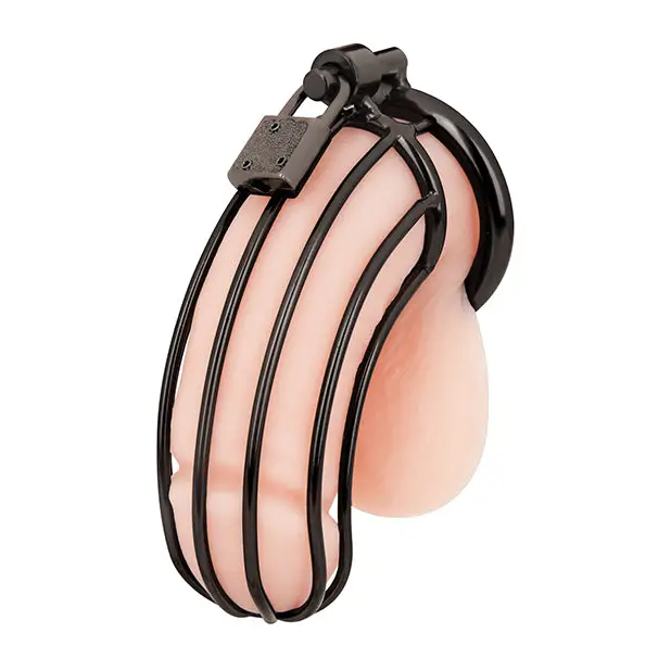 Blue Line Prisoner Cock Cage - Black - Bondage Blindfolds & Restraints