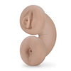 Blush M for Men Soft and Wet Double Trouble Glow in the Dark - Ivory - Dolls & Masturbators