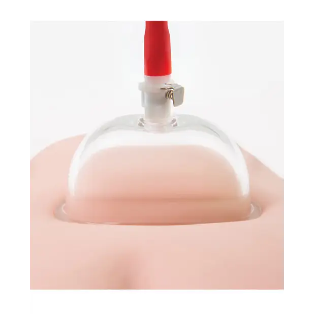 Blush Temptasia Advanced Pussy Pump System - Stimulators