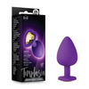 Blush Temptasia Bling Plug w/Gem Small - Purple - Anal Products