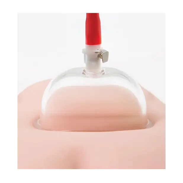 Blush Temptasia Intense Pussy Pump System - Stimulators