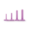 Blush Wellness Dilator Kit - Purple - Anal Products