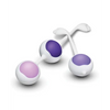 Blush Wellness Kegel Training Kit - Purple - Sexual Enhancers