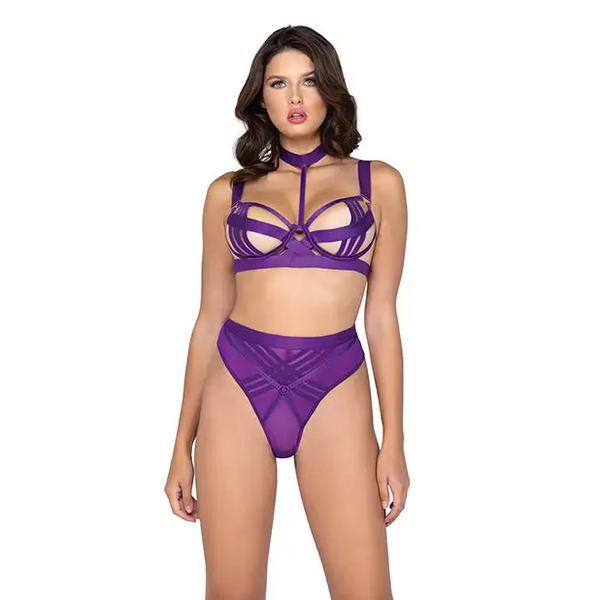 Bondage Stripe Demi Cup Underwire Bra & Panty Purple SM - Lingerie - Hanging