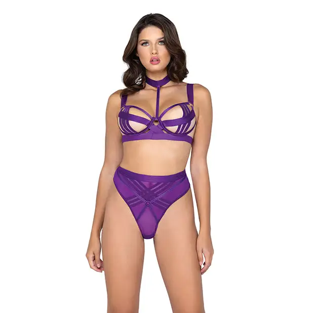 Bondage Stripe Demi Cup Underwire Bra & Panty Purple SM - Lingerie - Hanging