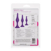 Booty Call Booty Trainer Kit - Set of 3 - Anal Products