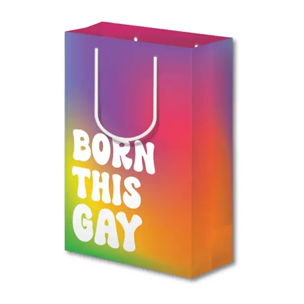 Born This Gay Pride Large Gift Bag - Gay & Lesbian Products