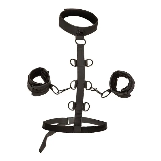 Boundless Collar Restraint - Bondage Blindfolds & Restraints