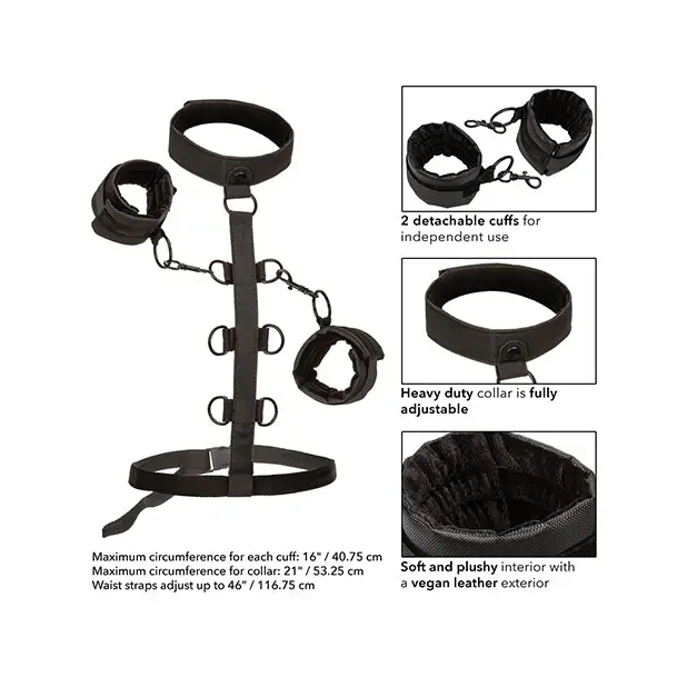 Boundless Collar Restraint - Bondage Blindfolds & Restraints