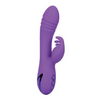 California Dreaming West Coast Wave Rider - Purple - Vibrators