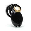 CB-6000S 2 1/2’’ Cock Cage & Lock Set - Black - Bondage Blindfolds & Restraints