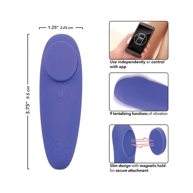 Connect App Based Panty Teaser