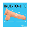Curve Toys Thinz 7’’ Uncut Dildo w/Balls - Light