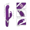 Enchanted Flutter Vibrator - Purple - Vibrators