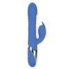 Enchanted Teaser - Blue - Vibrators