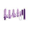 Evolved Lilac Desires Vibrator - Purple - Vibrators