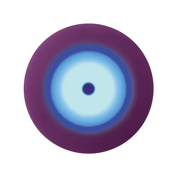 Evolved My Secret Wand - Purple - Massage Products