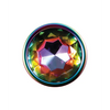Evolved Rainbow Metal Plug - Large - Anal Products