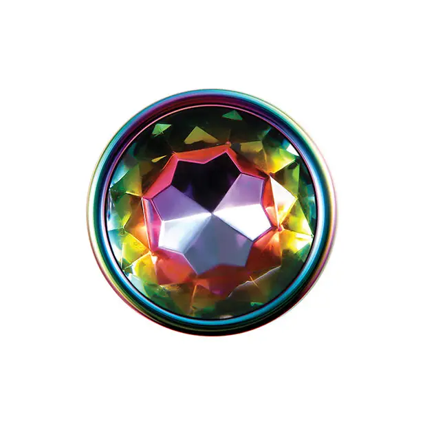 Evolved Rainbow Metal Plug - Large - Anal Products