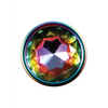 Evolved Rainbow Metal Plug set - Anal Products