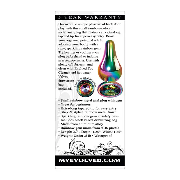 Evolved Rainbow Metal Plug - Small - Anal Products