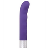 Evolved Spark - Purple - Vibrators