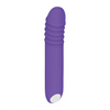 Evolved The G-Rave Light Up Vibrator - Purple - Vibrators