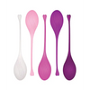Evolved Tight & Delight 5 pc Weighted Kegel Ball Set - Assorted Colors - Sexual Enhancers