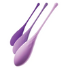 Fantasy For Her Kegel Train-Her Set - Sexual Enhancers