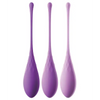 Fantasy For Her Kegel Train-Her Set - Sexual Enhancers