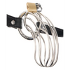 Fetish Fantasy Extreme The Prisoner Metal Cock Cage - Bondage Blindfolds & Restraints
