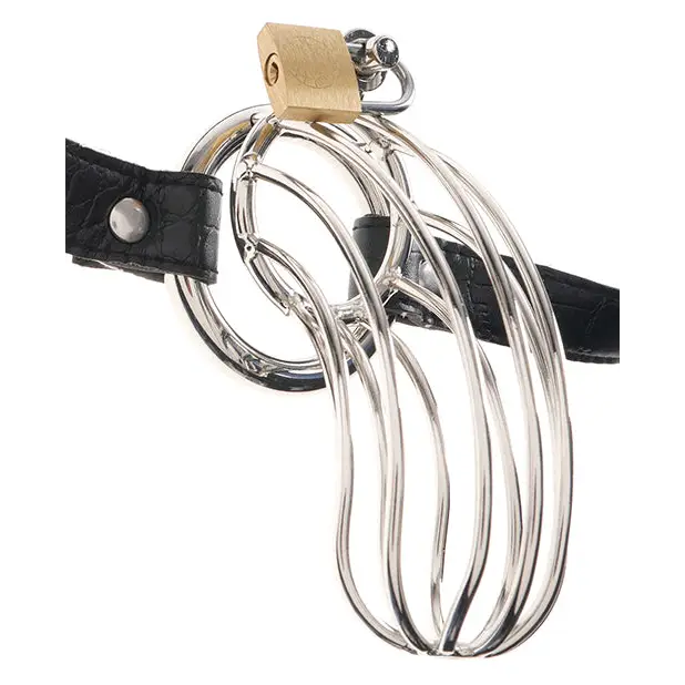 Fetish Fantasy Extreme The Prisoner Metal Cock Cage - Bondage Blindfolds & Restraints