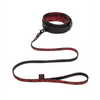 Fifty Shades of Grey Sweet Anticipation Collar & Leash - Fifty Shades of Grey