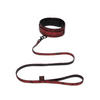 Fifty Shades of Grey Sweet Anticipation Collar & Leash - Fifty Shades of Grey