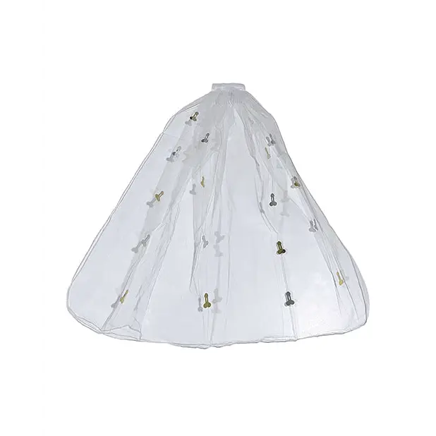 Flashy Naughty Veil - Bachelorette & Party Supplies