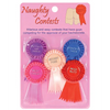 Flashy Naughty Veil - Bachelorette & Party Supplies