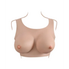 Gender X Realistic Undergarment Plate D-Cup - Light - Transgender Products