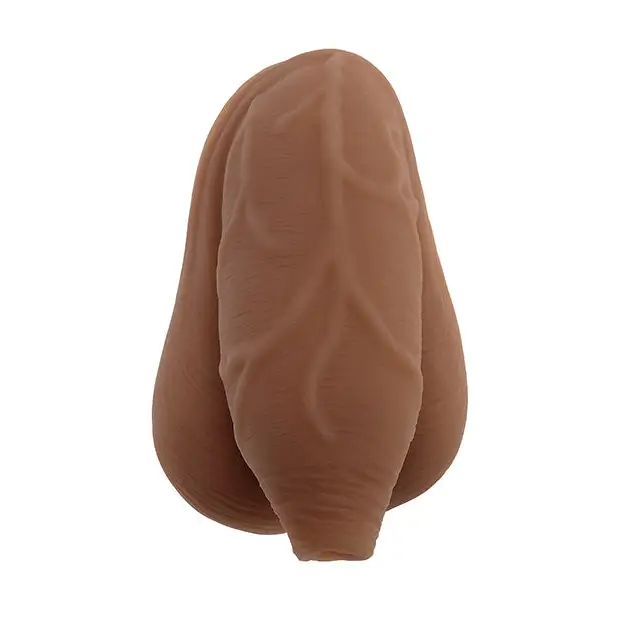 Gender X The Uncircumcised Packer - Dark - Transgender Products