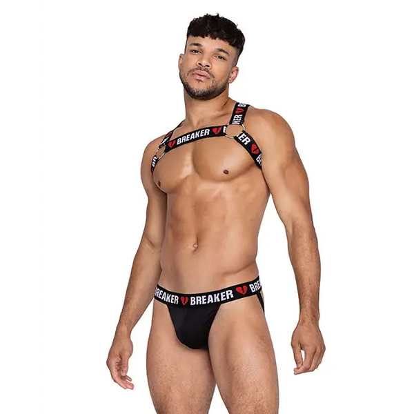 Heartbreaker Harness w/Large O-Ring Detail Black/Red L/XL - Lingerie - Hanging