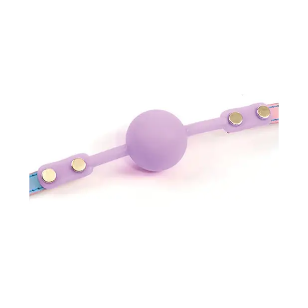 Hello Sexy! Gag Order - Iridescent Rainbow - Bondage Blindfolds & Restraints