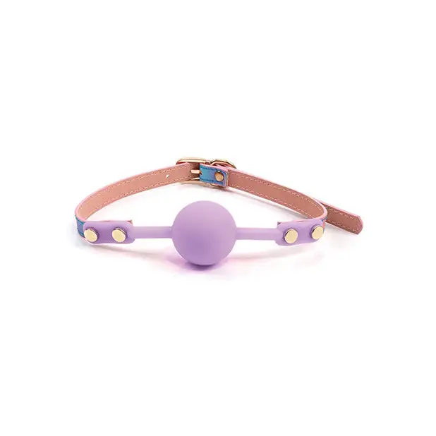 Hello Sexy! Gag Order - Iridescent Rainbow - Bondage Blindfolds & Restraints