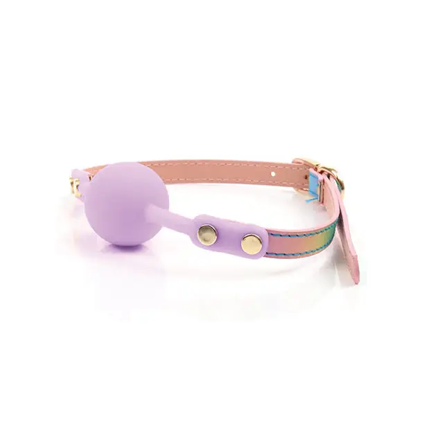 Hello Sexy! Gag Order - Iridescent Rainbow - Bondage Blindfolds & Restraints