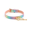 Hello Sexy! Hot Bitch Collar & Leash - Iridescent Rainbow - Bondage Blindfolds & Restraints