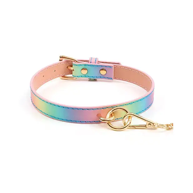 Hello Sexy! Hot Bitch Collar & Leash - Iridescent Rainbow - Bondage Blindfolds & Restraints