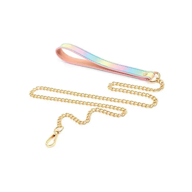 Hello Sexy! Hot Bitch Collar & Leash - Iridescent Rainbow - Bondage Blindfolds & Restraints